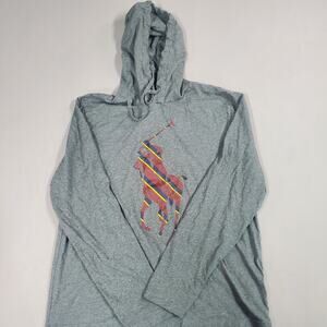 Polo Ralph Lauren Striped Big Pony Hooded Long-Sleeve T-shirt Men's Medium